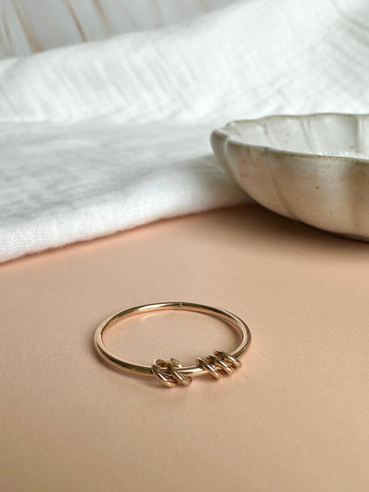 Fidget Ring